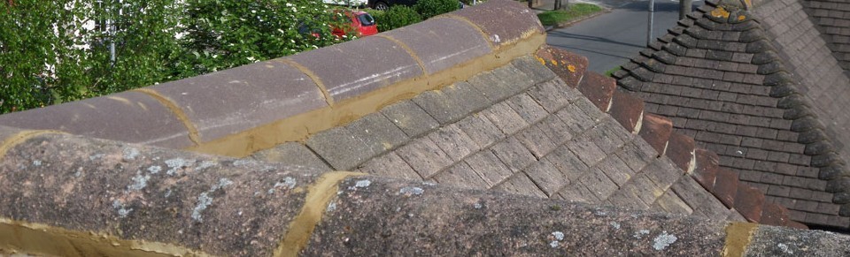 Main photo for Profix Roofcare Ltd