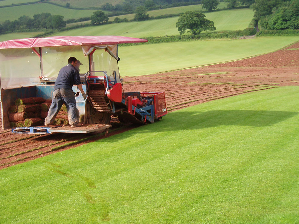 Main photo for Somergreen Turf