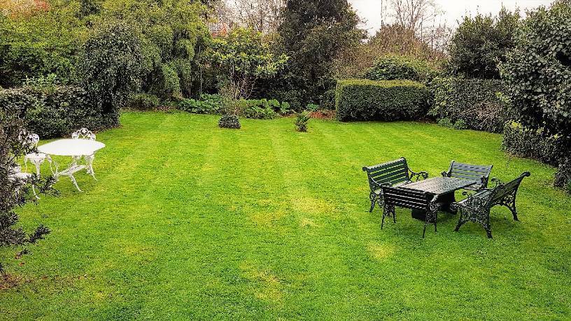 Tom's Gardens - Gardeners - 01803 362324 - Paignton | Thomson Local