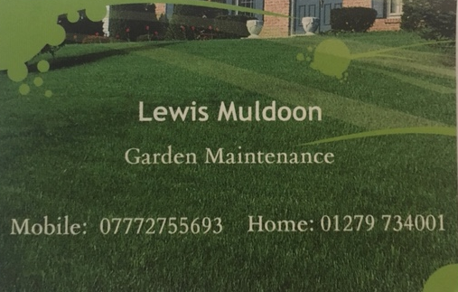 Main photo for Lewis Experienced Gardener