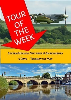 Main photo for SwanTours