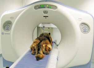 Main photo for Highcroft Veterinary Centre
