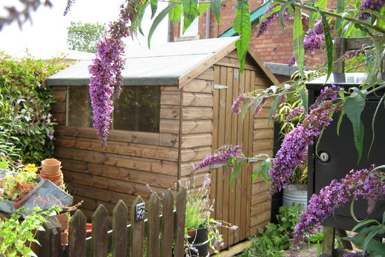 Shed Scene - Garden Sheds - 0117 370 7890 - Bristol | Thomson Local