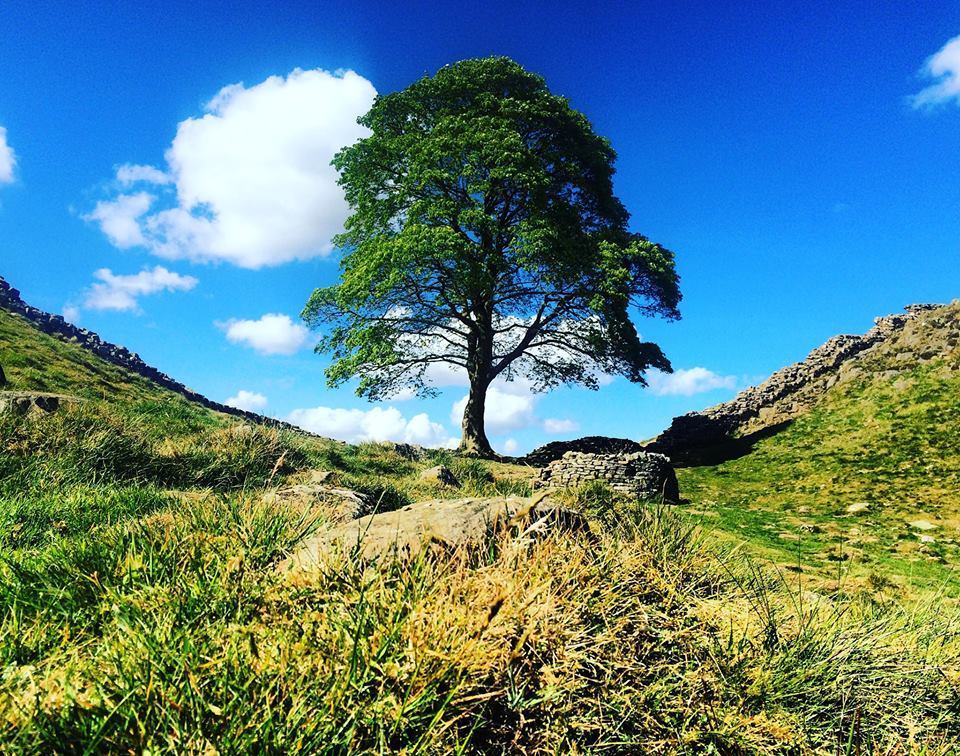 Main photo for Trinity Mirror Solutions North East (Chronicle, Chronicleli