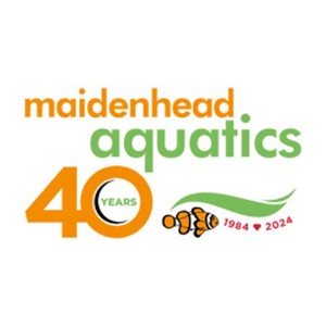 Maidenhead Aquatics Maidstone