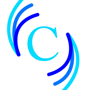 C-BAS Accountacy & Taxation Services Ltd