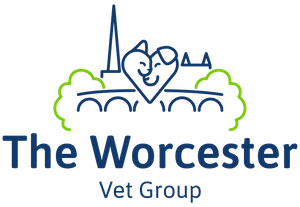 Ambleside Animal Clinic