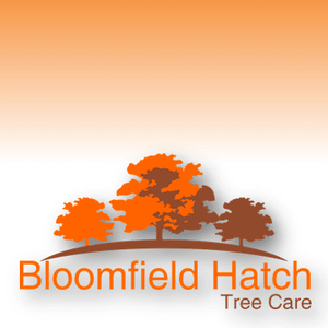 Bloomfield Hatch Tree Care